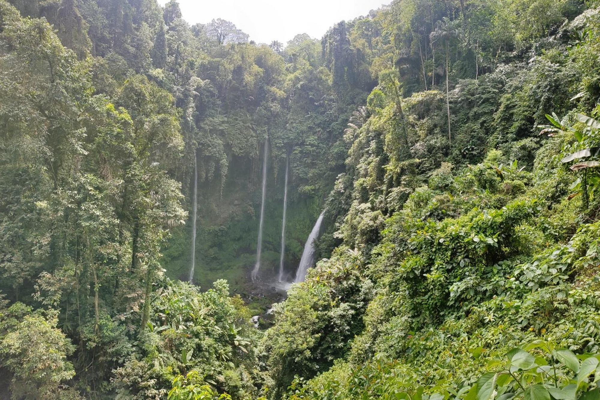 Ilasan Cottage. Tomohon Zewnętrze zdjęcie